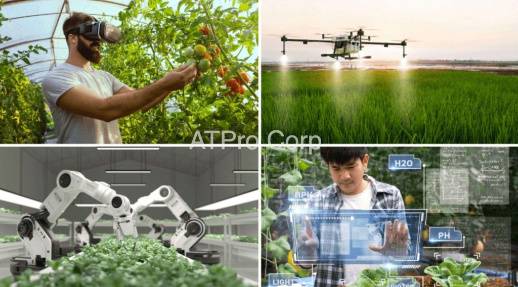 Ngành hàng trưng bày tại GROWTECH VIETNAM